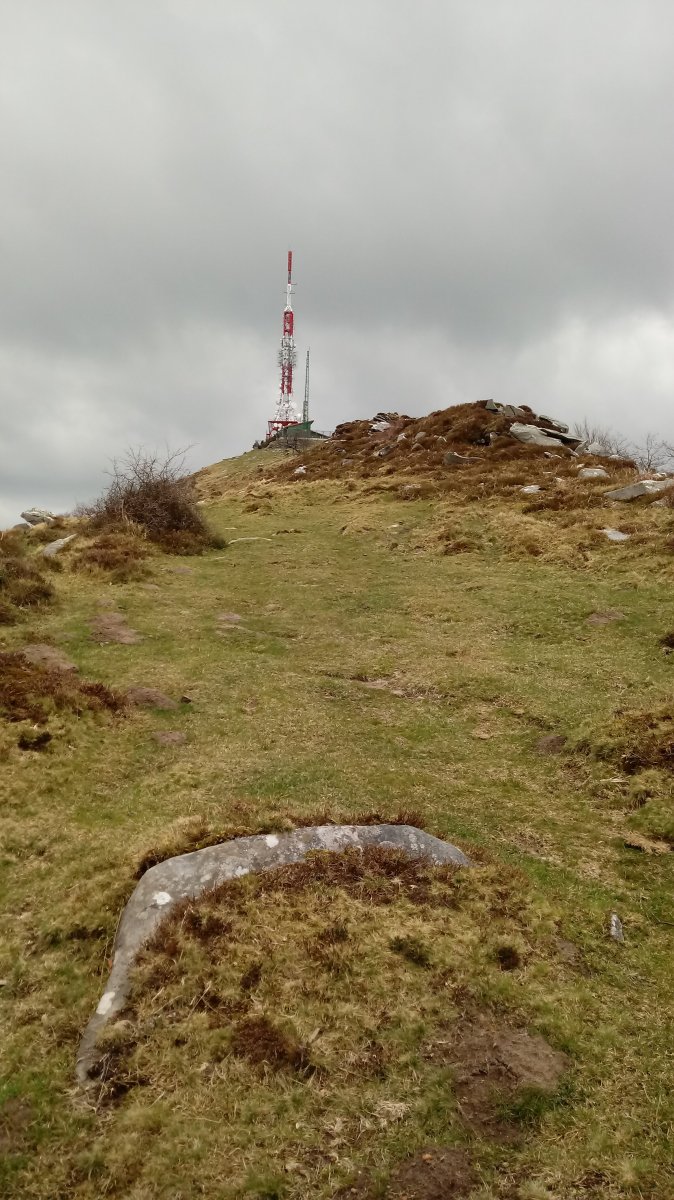 Oitz (1026m) azken metroak mendebaldetik