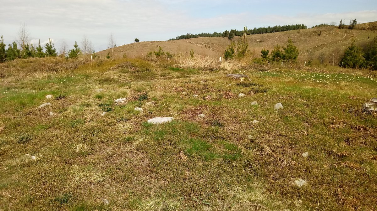 Ipinarrieta tumuloa 3