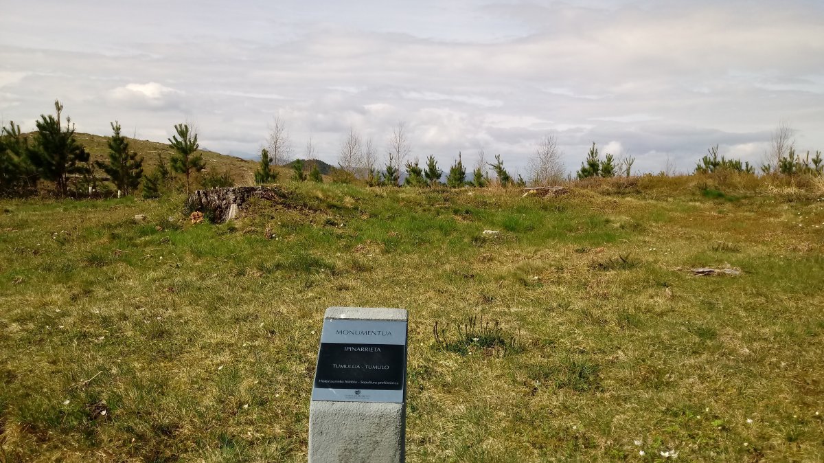 Ipinarrieta tumuloa (2018)