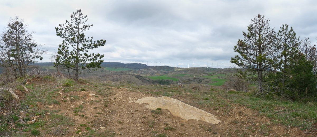 Cerros Viejos, gailurra