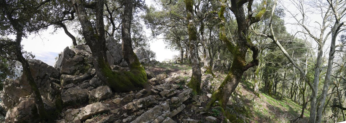 Tontorraren inguruak