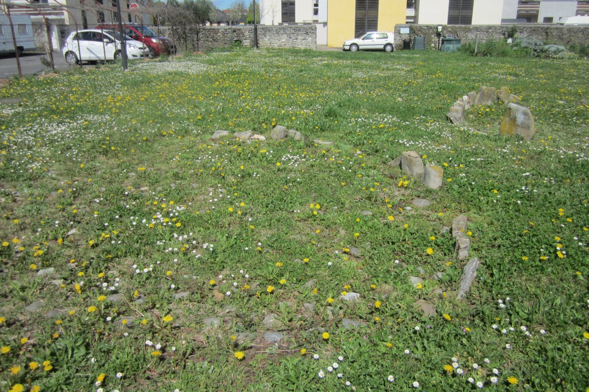 Cromlech nº 4  (Abril 2018)