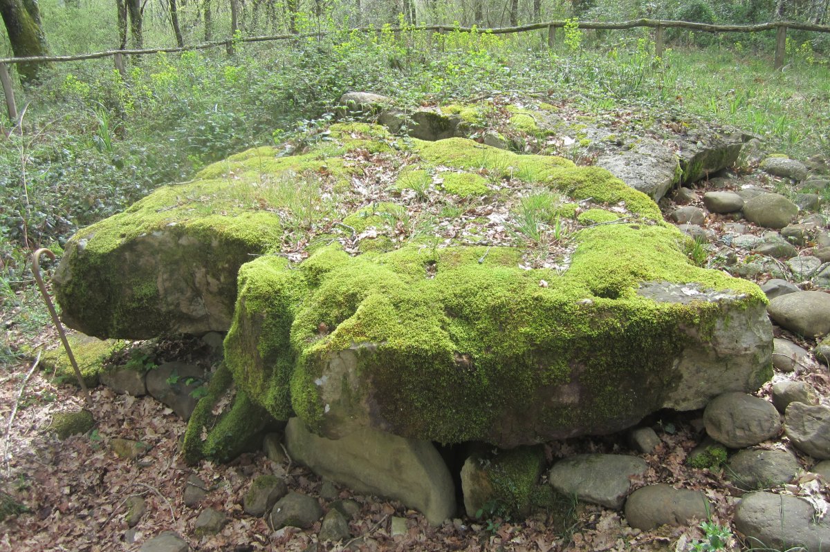Dólmen Darre la Peyre  (Abril 2018)