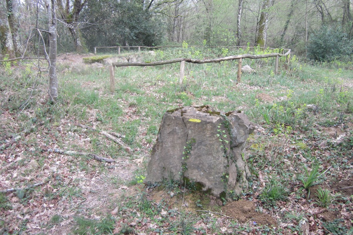 Dólmen Darre la Peyre  (Abril 2018)