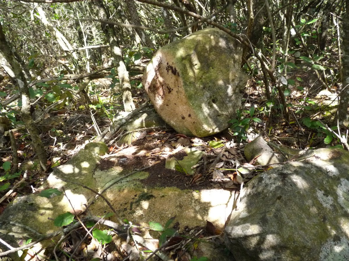 Tako Geodesikoa, infernuaren erdian