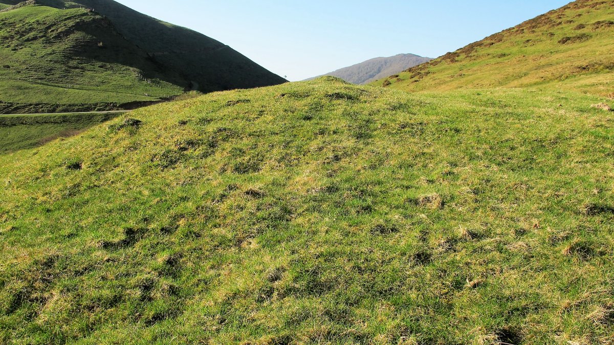 Artesiaga tumulua, Irurita-Baztan
