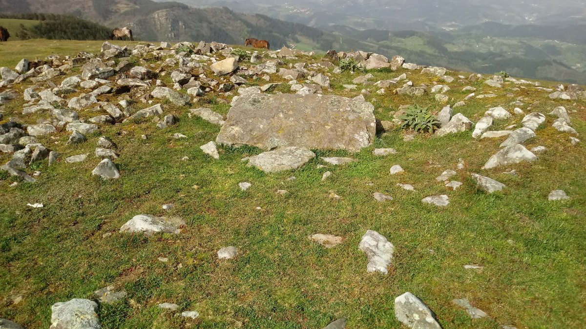 Oamendi Trikuharria 3