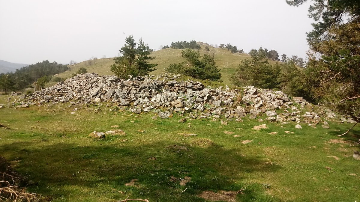 Irumugarrieta tumuloa (2018)