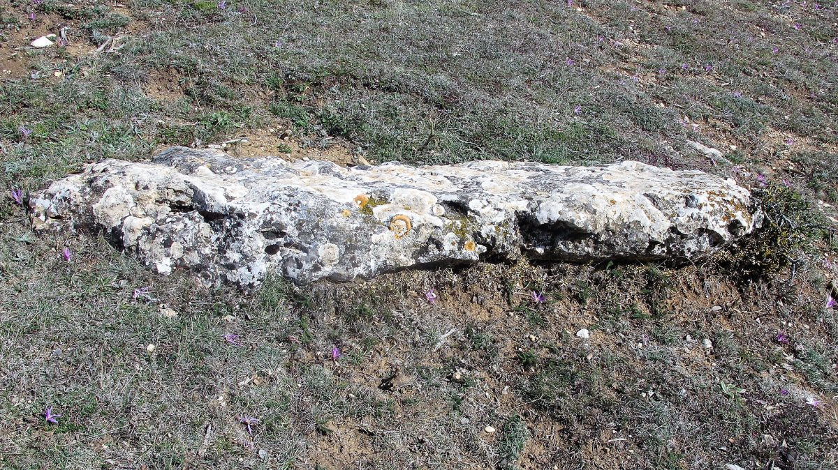 Camino de Mendibela zutarria, Biloria-Lana