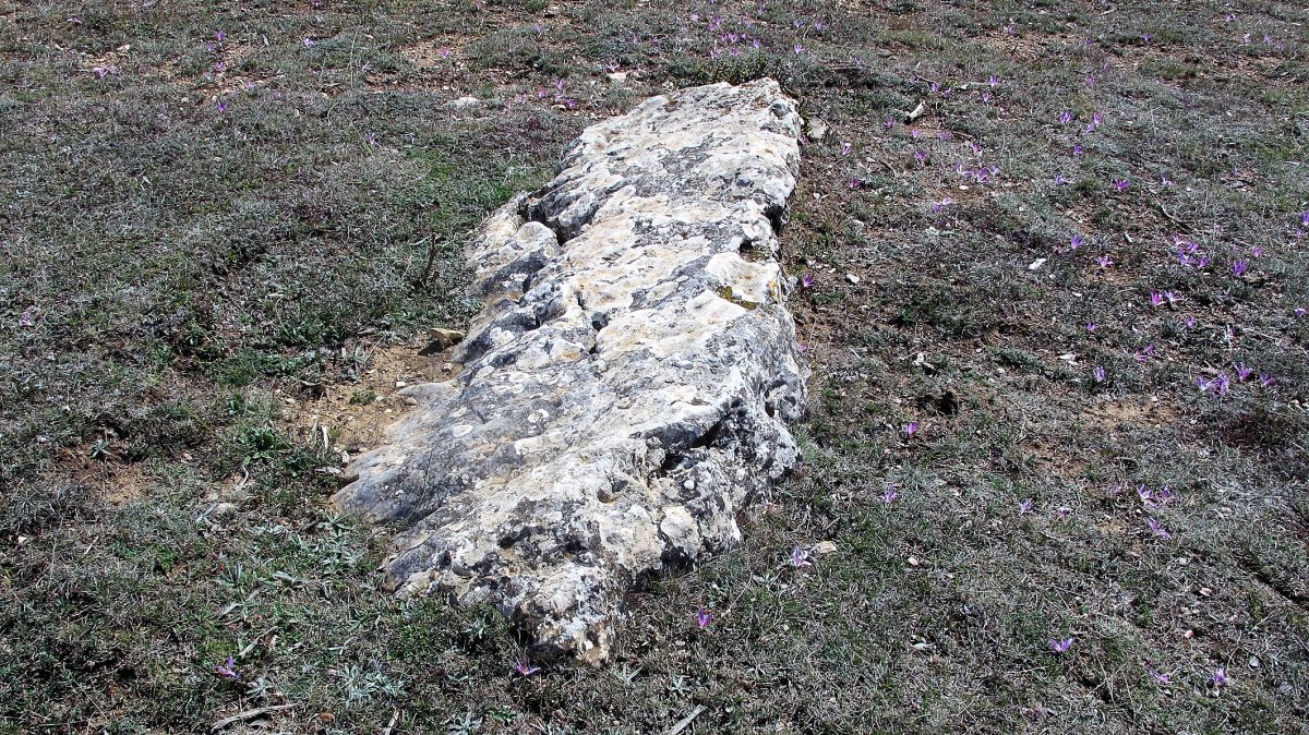 Camino de Mendibela zutarria, Biloria-Lana