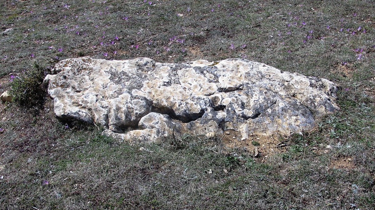 Camino de Mendibela zutarria, Biloria-Lana
