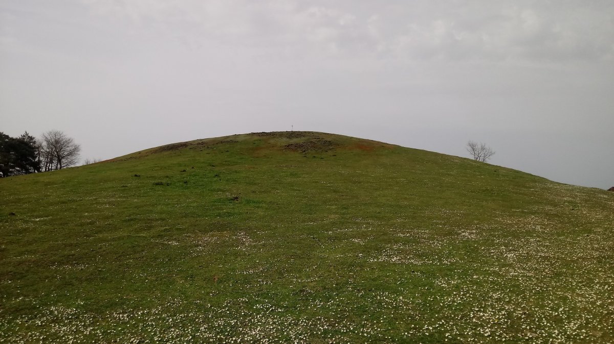 Oamendi (886) tontorra