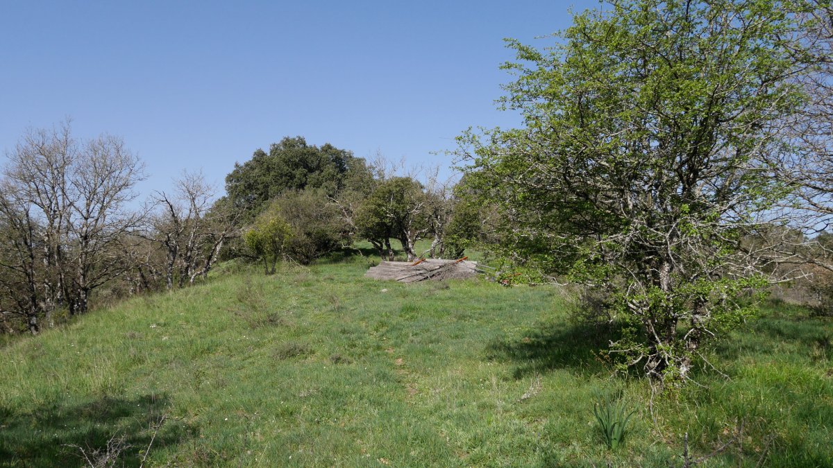 Ollarnagusiko bizkarrean gora