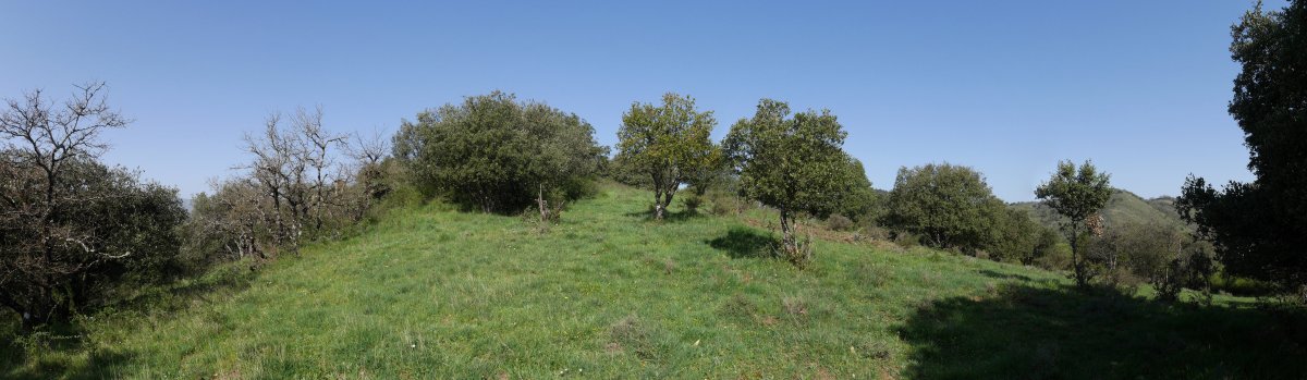 Ollarnagusiko bizkarrean gora