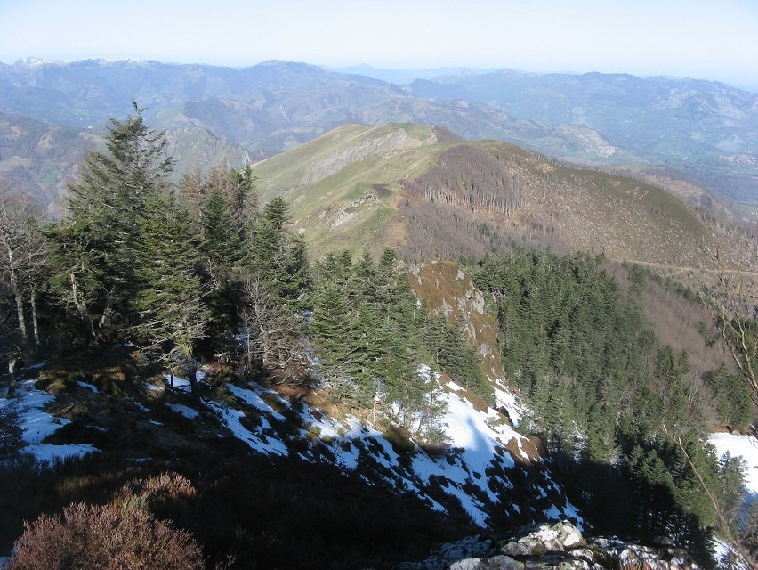 Arbutiko gandorra, tontorretik