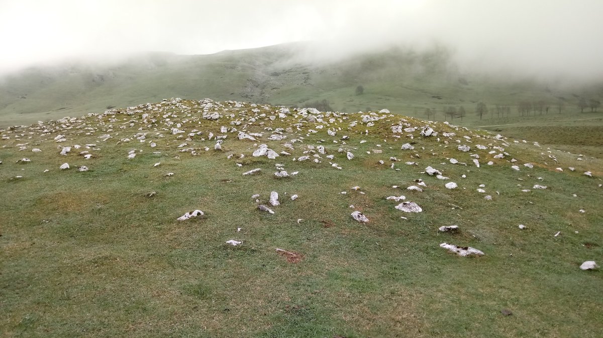 Pagobakoitza trikuharria 2