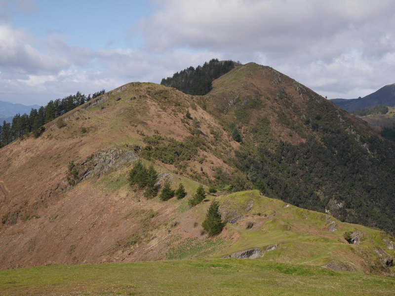 Kamaraka Goikoganetik ikusita