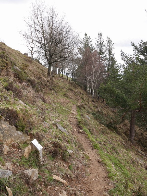 Mendi-bizkarrera iristen den bidezidorra