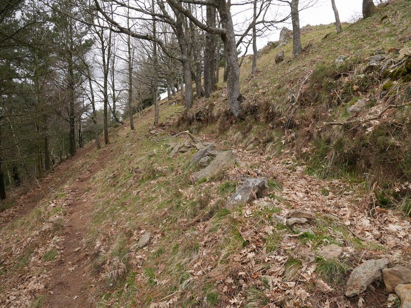 Bidezidorra eta lubakiak