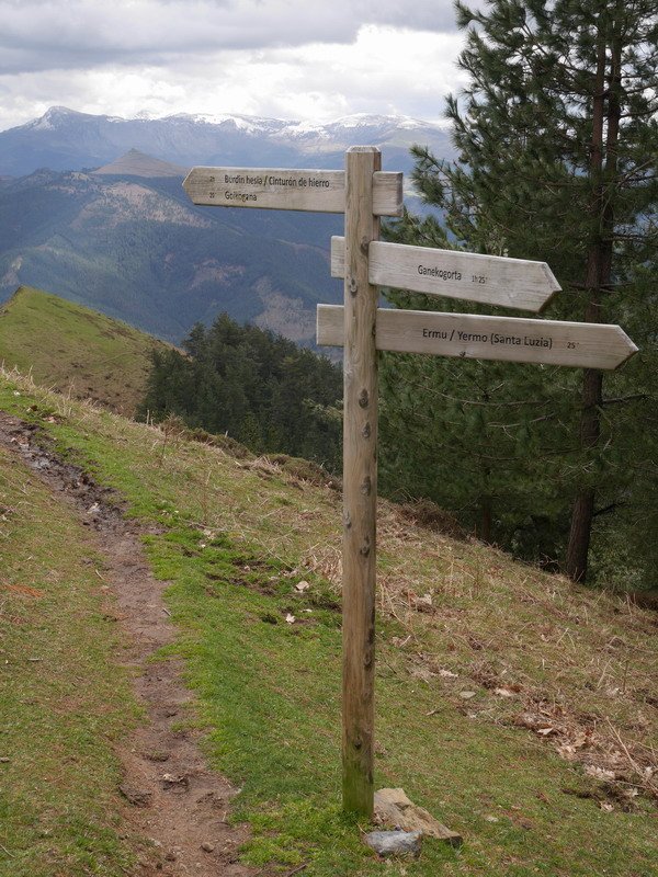 Seinaleak mendi-bizkarreko bidegurutze batean