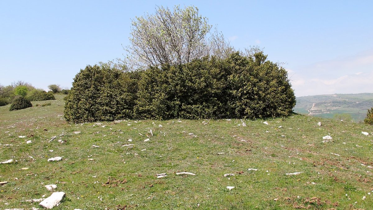 Garindo 2 eraztun tumulua, Urdotz-Goñi