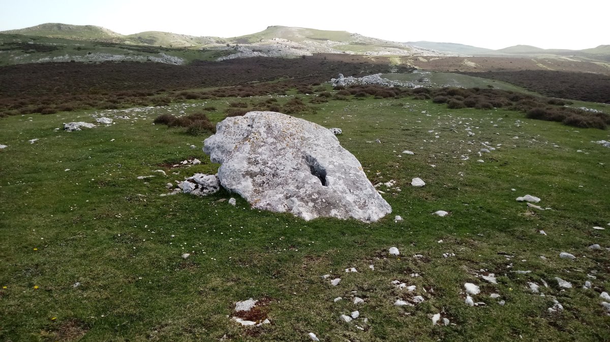 Elordiko Harria zutarria (2018)