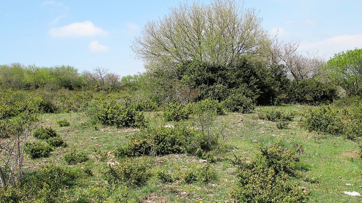 Ornaitz eraztun tumulua, Aizpun-Goñi