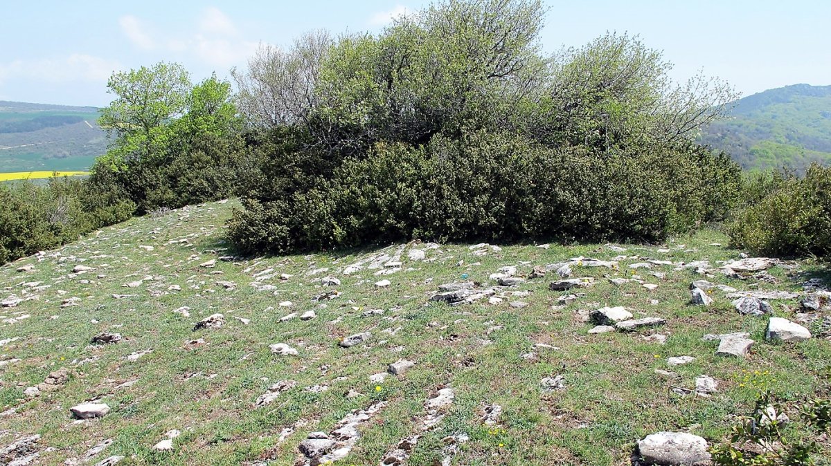 Garindo 4 este eraztun tumulua, Aizpun-Goñi