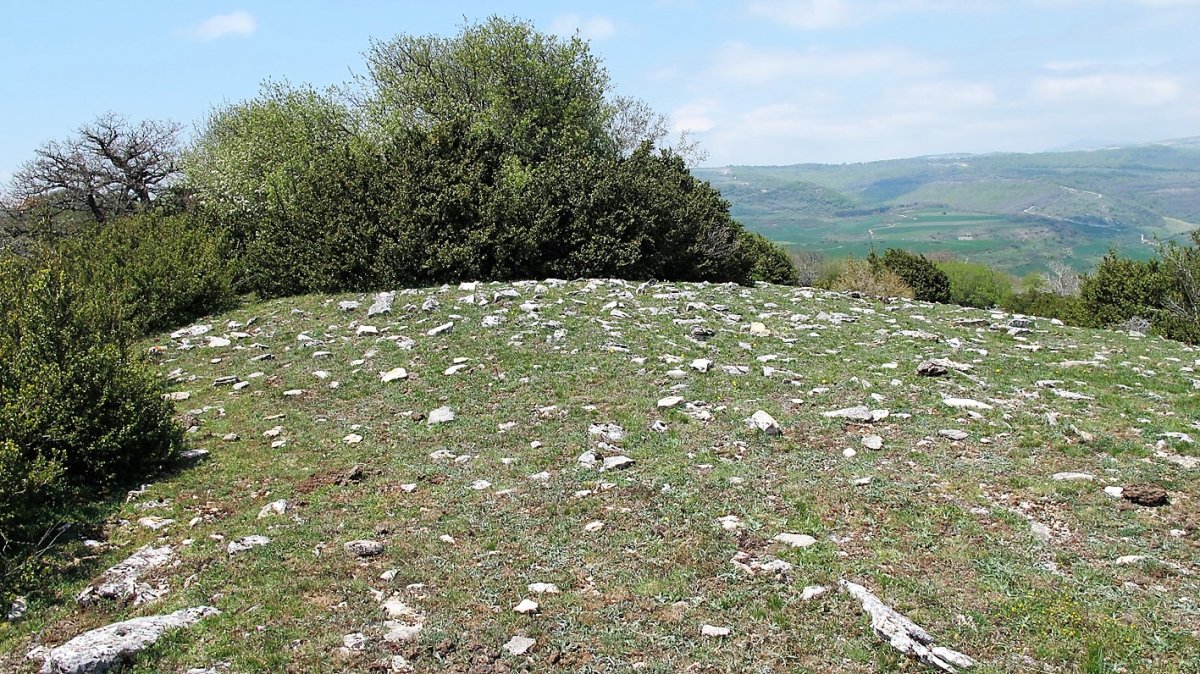 Garindo 4 este eraztun tumulua, Aizpun-Goñi