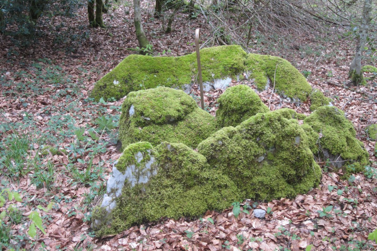 Dólmen Zubigoien   (Mayo  2018)