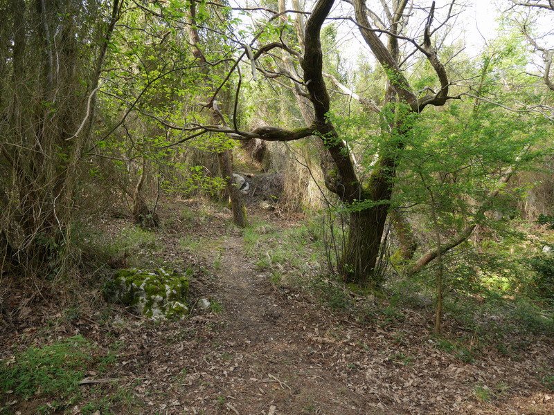 Maruara igotzen den bidezidorraren hasiera