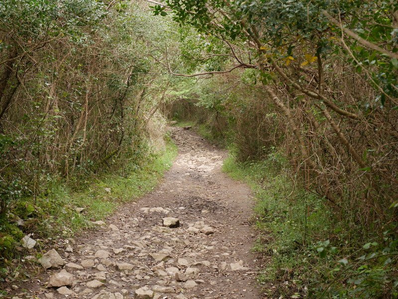 Atxarrera igotzen den bidea