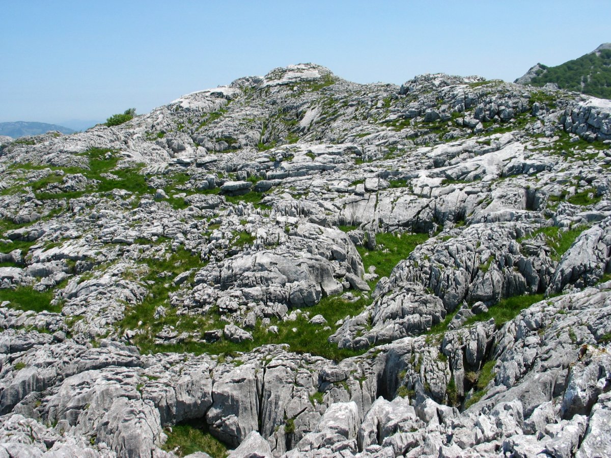 Tontorraren inguruak