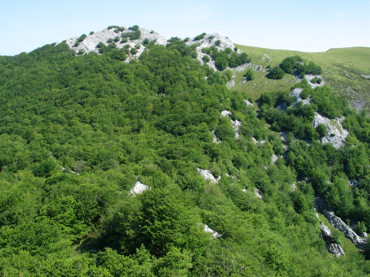 Altipitatx aldetik ikusita