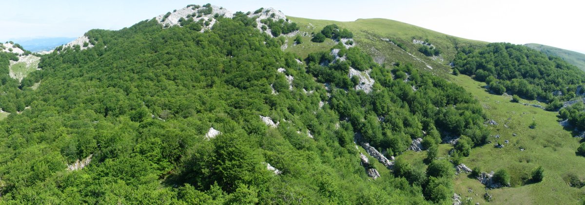 Ipergorta eta Itxingoteko larreak Altipitatx aldetik