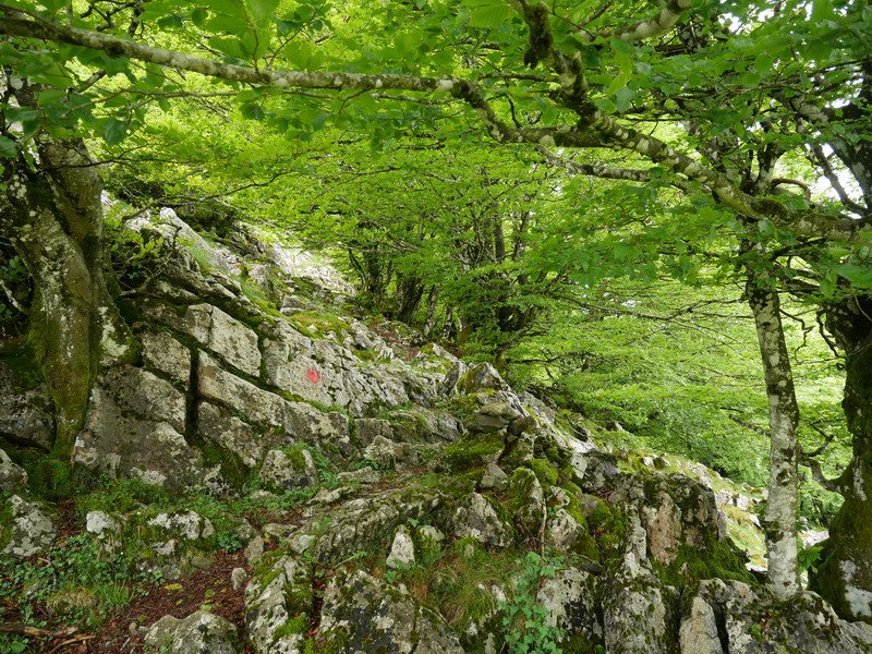 Kargalekutik Altipitatx, Neberabarri eta Itxingotira doan bidezidorraren hasiera