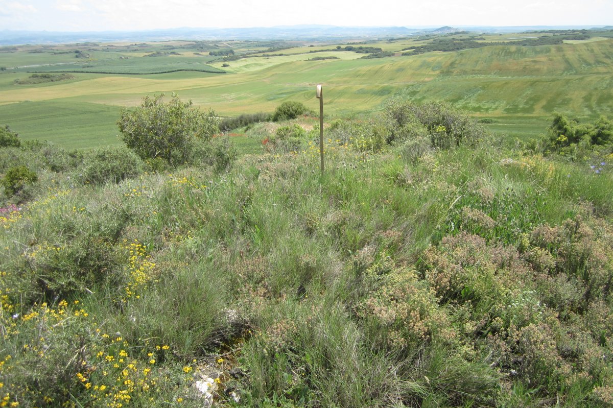 Túmulo Kortabairrieta (Junio 2018)