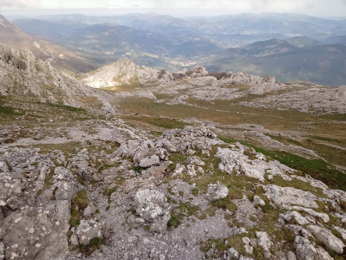 Aratz, ekialdeko zelaia