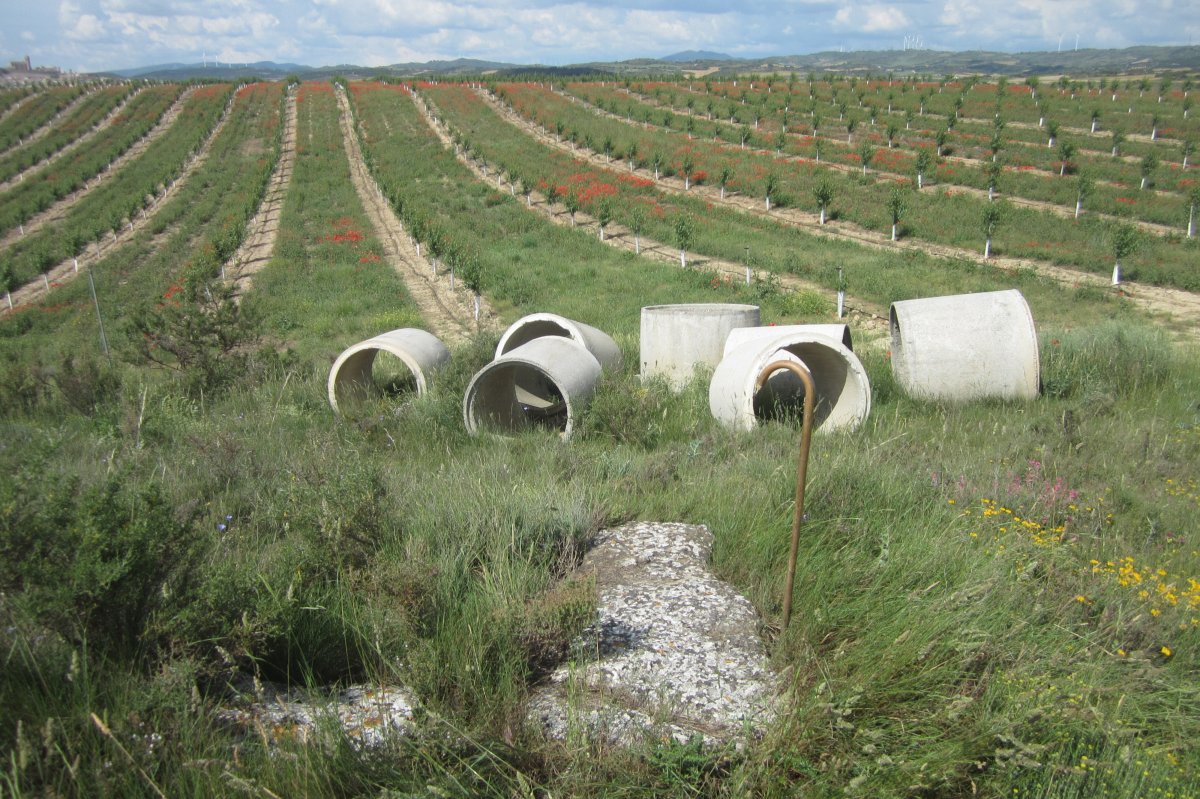 Monolito Genzelaia (Junio 20018)