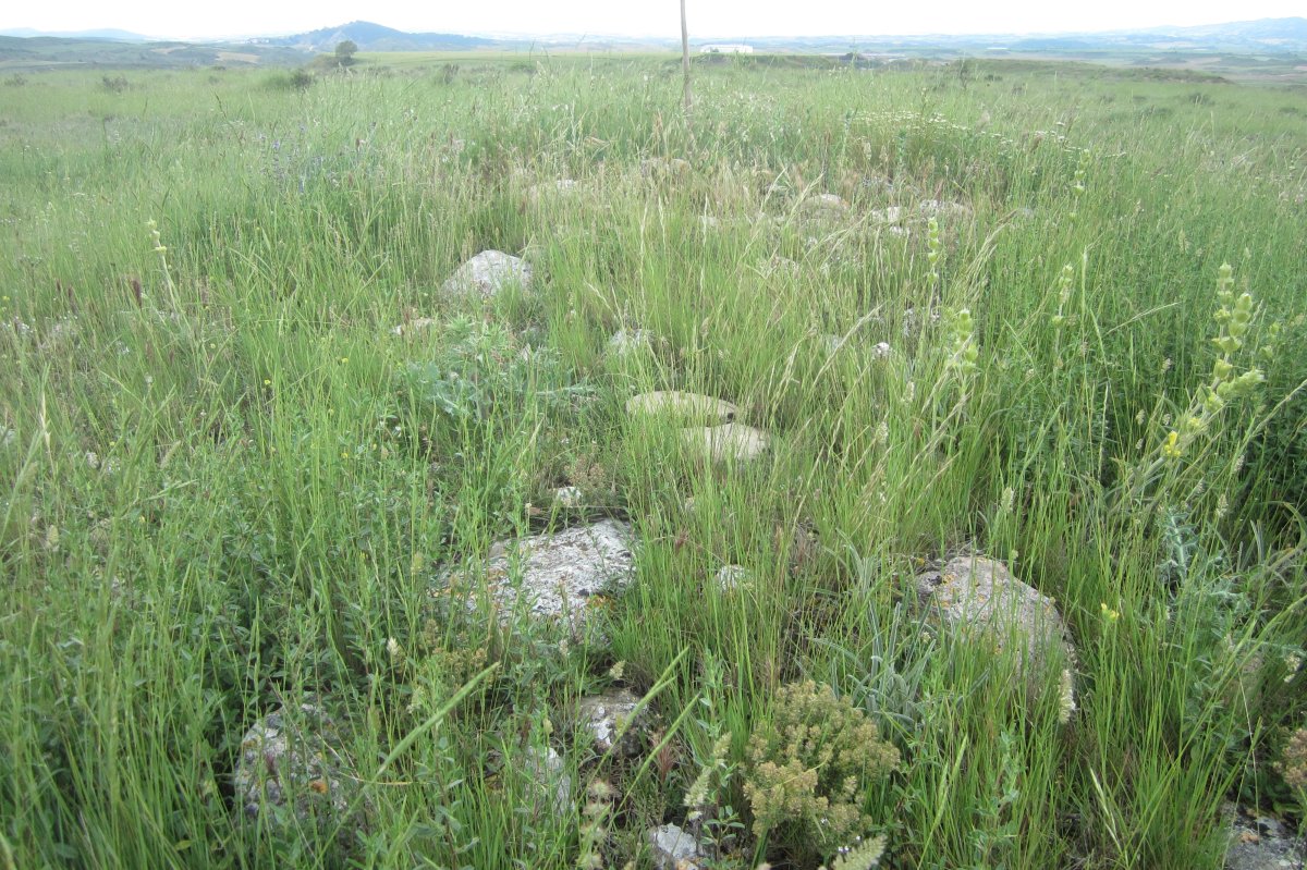 Túmulo Genzelaia 4  (Junio 2018)