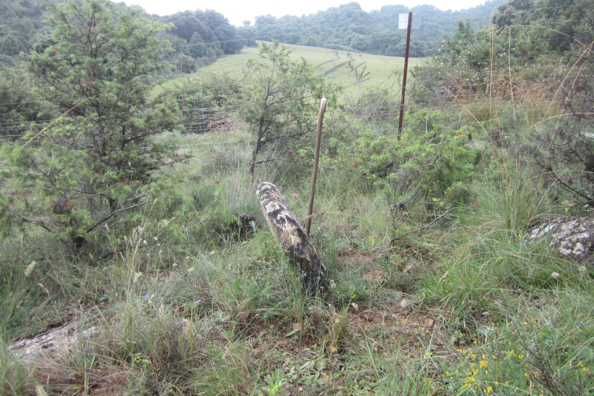 Monolito Fuente Jus  (Junio 2018)