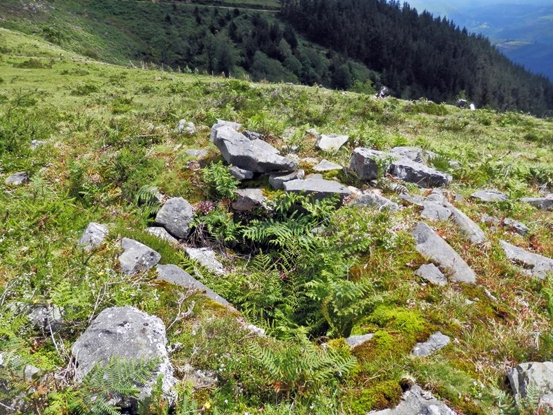 Campo Ventoso 3 Tumulua