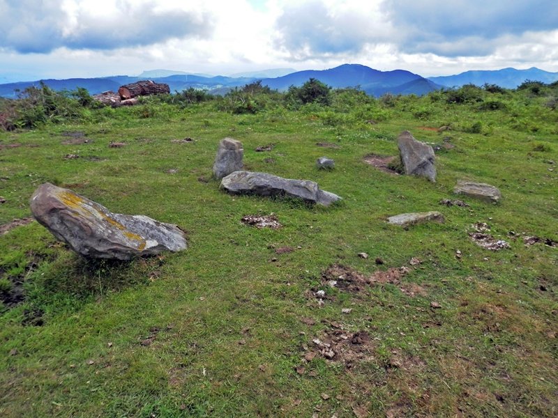 Perutxote Harrespila