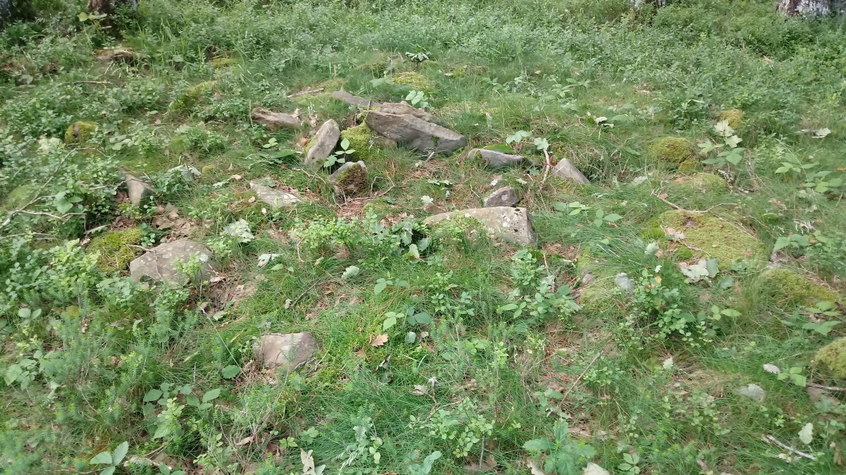 Aizaleku II trikuharria 2