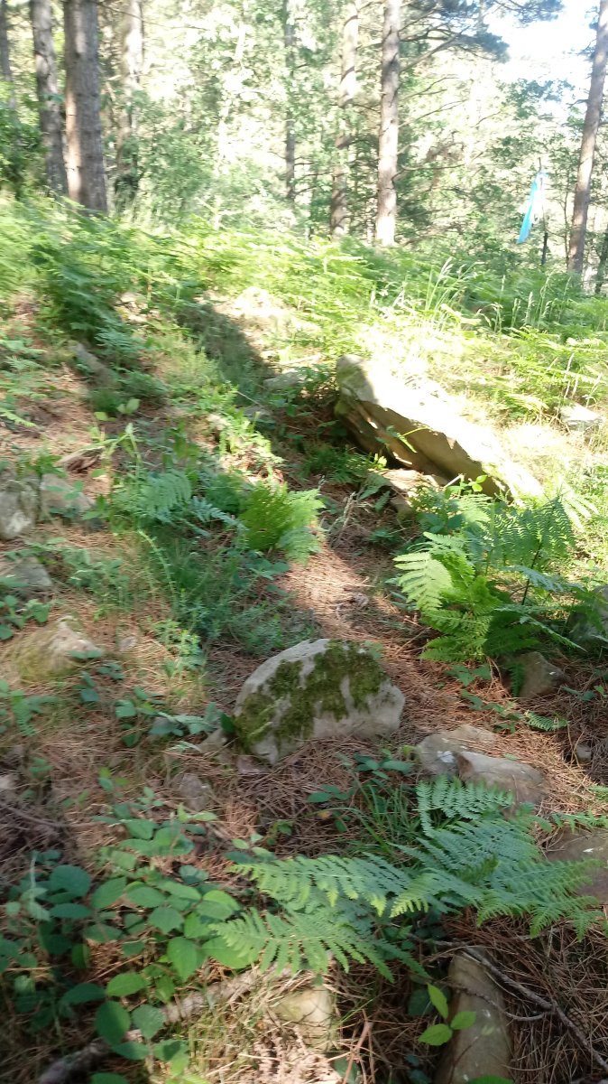 Maribidaurre trikuharria 3