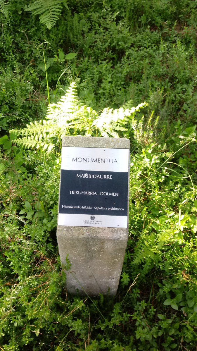 Maribidaurre trikuharria (2018)