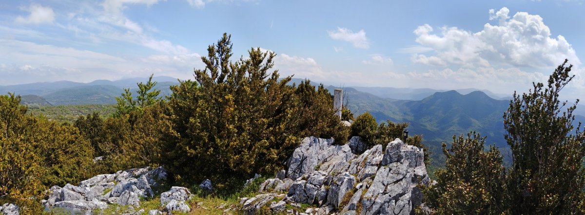 Larrogaingo gailurra