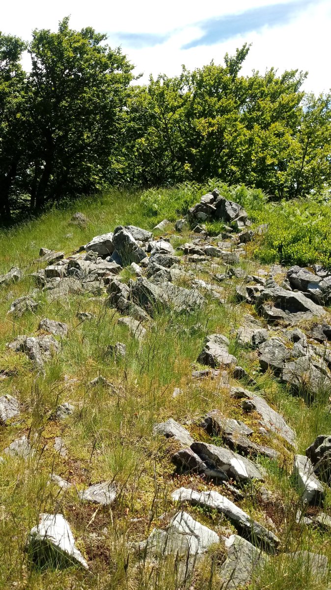 Pilotasoro (1306m) tontorra