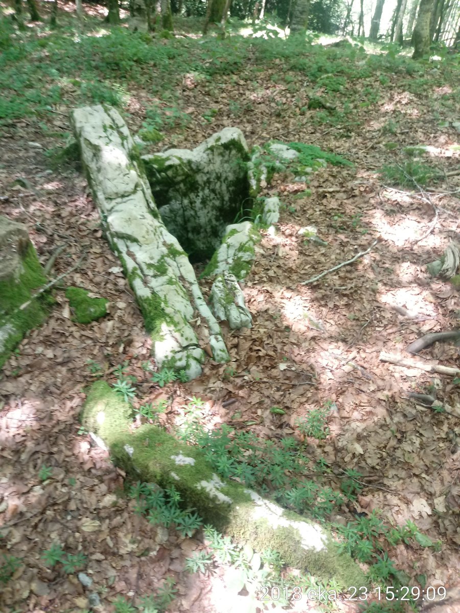 Arregi trikuharria 3