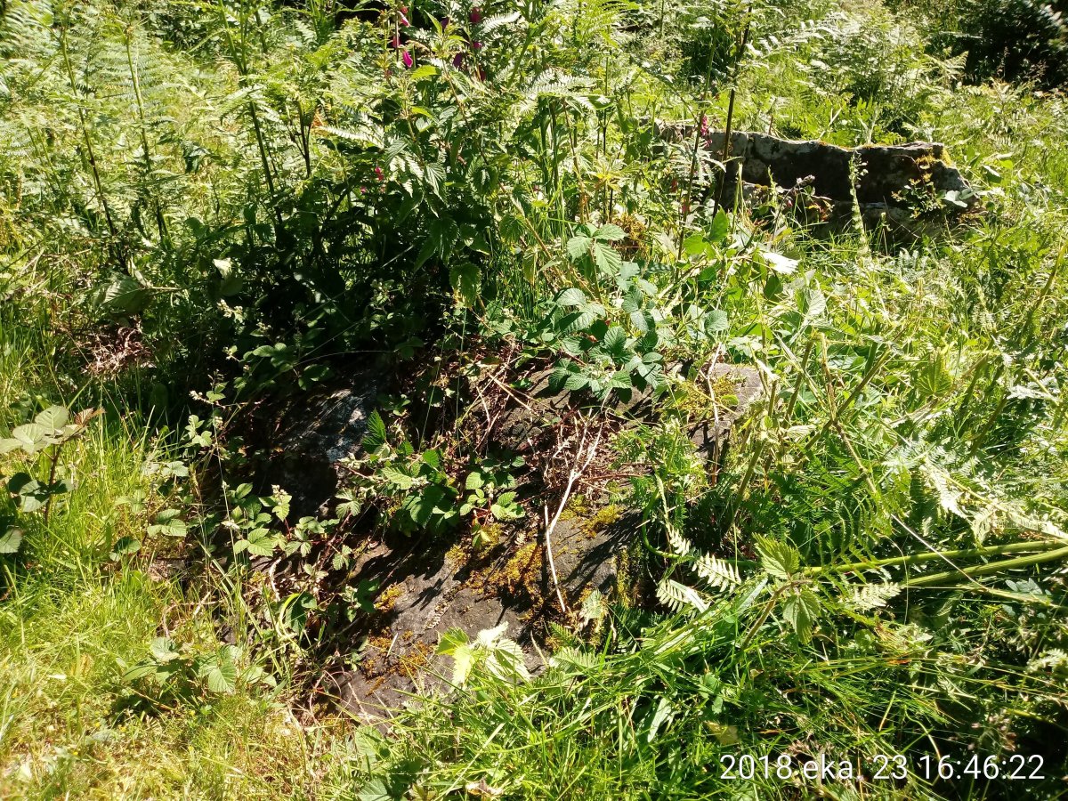 Asundegi triikuharria 3